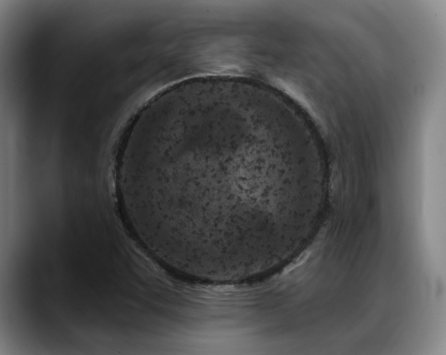 X0000089341455200706151035