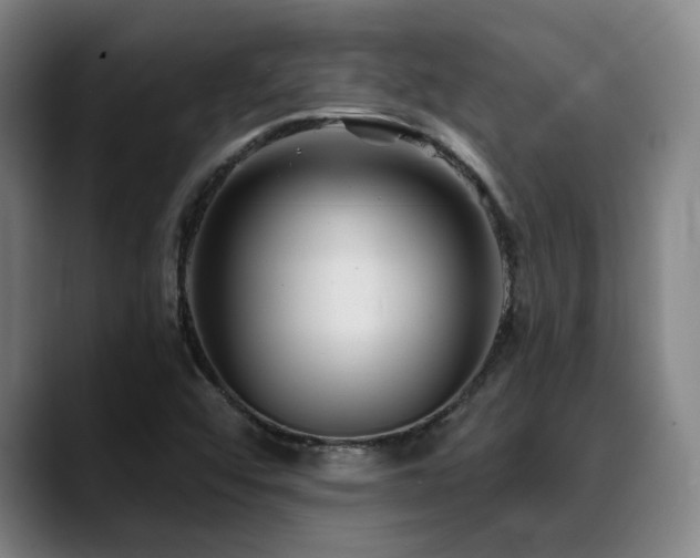 X0000089341456200706151035