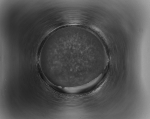 X0000089341457200706151035