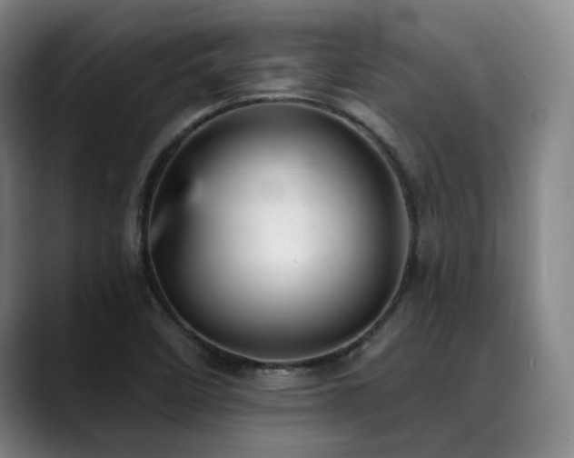 X0000089341458200706151034