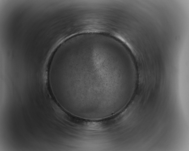 X0000089341459200706151034
