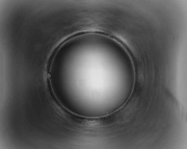 X0000089341460200706151034
