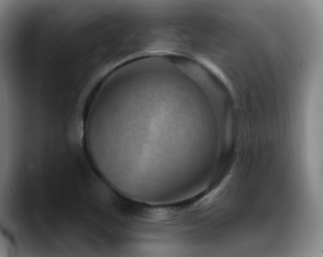 X0000089341461200706151034