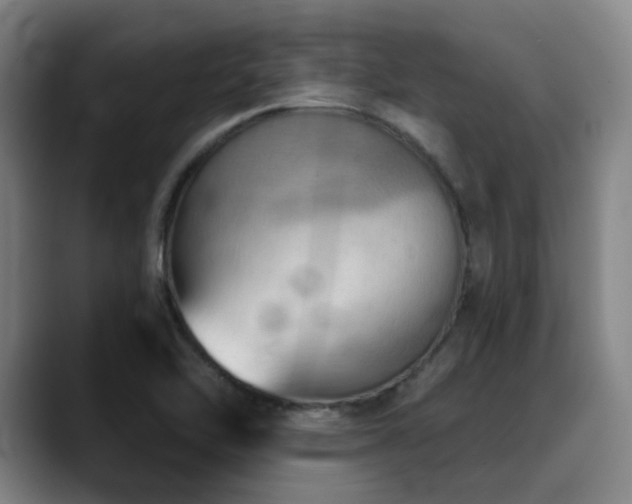 X0000089341462200706151034