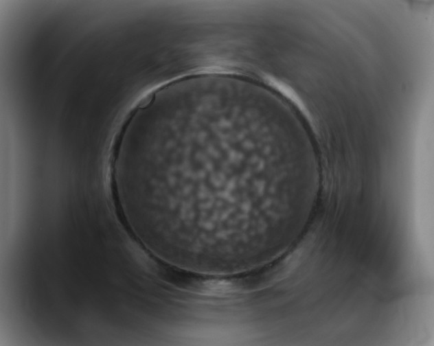 X0000089341463200706151034