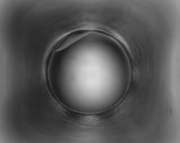 X0000089341464200706151034