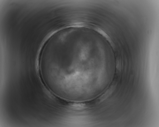 X0000089341466200706151034