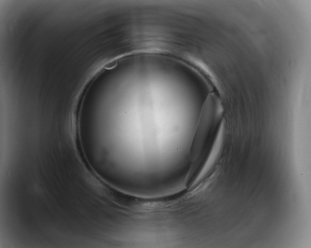 X0000089341467200706151034