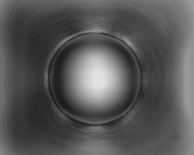 X0000089341468200706151034