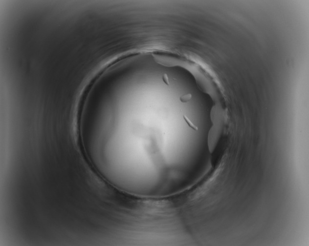 X0000089341469200706151034