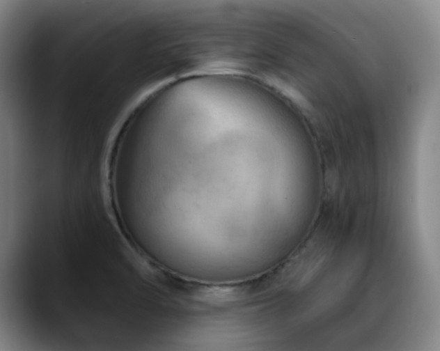 X0000089341470200706151034