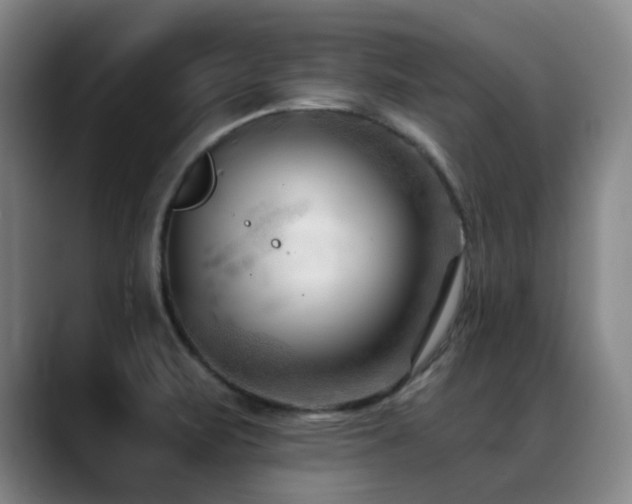 X0000089341471200706151034