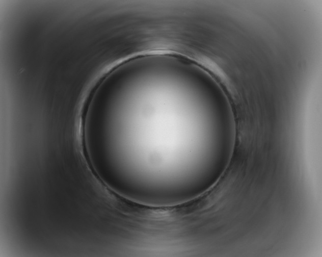 X0000089341472200706151034
