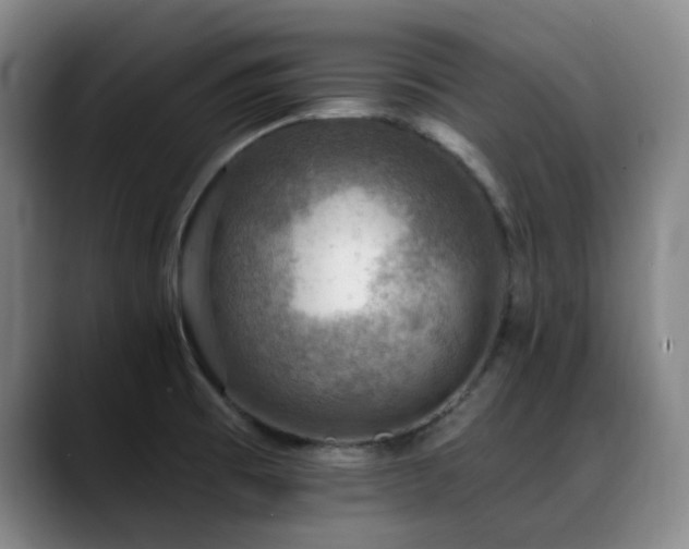 X0000089341473200706151034