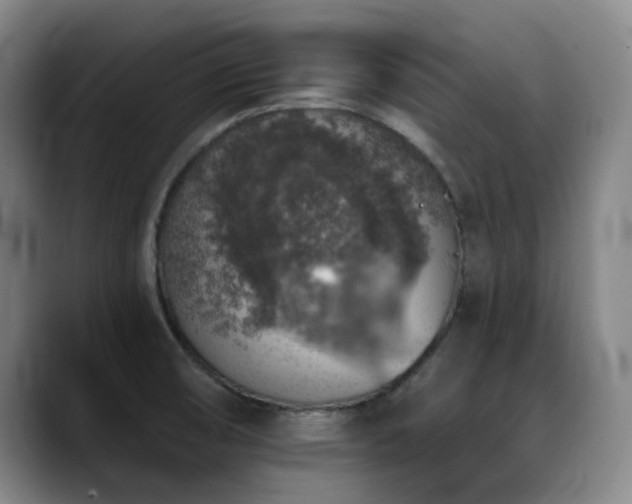 X0000089341474200706151034
