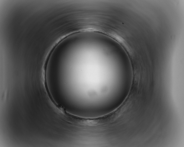 X0000089341476200706151034