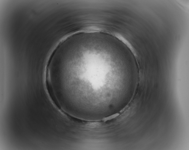 X0000089341477200706151034