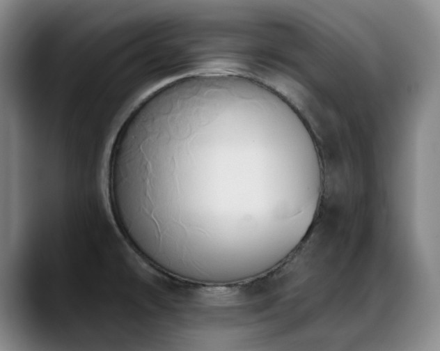 X0000089341478200706151034