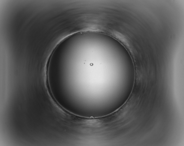 X0000089341479200706151034