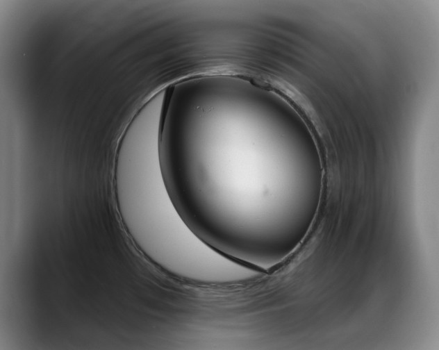 X0000089341481200706151034