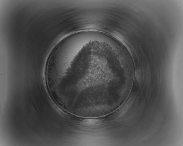 X0000089341482200706151034