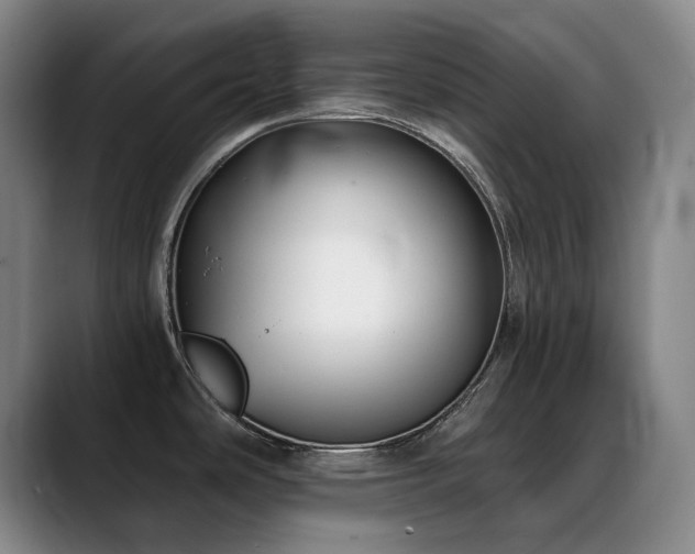 X0000089341486200706151034