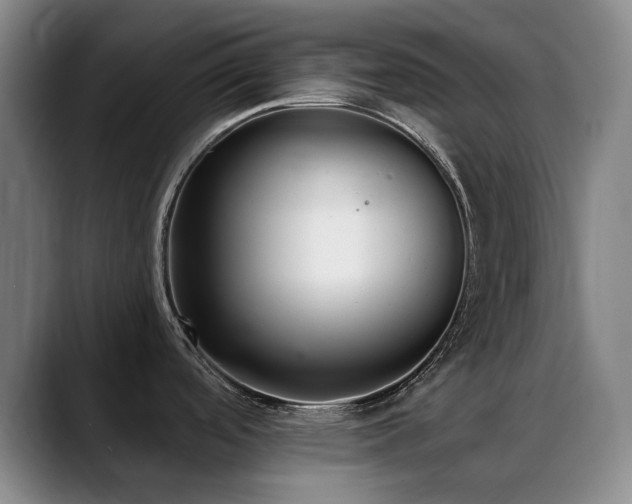 X0000089341488200706151034