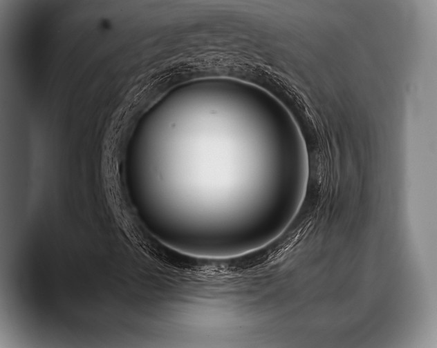 X0000089341489200706151033