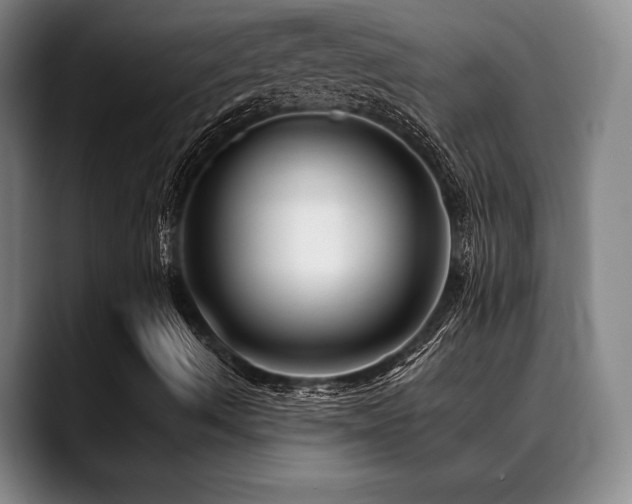 X0000089341490200706151033