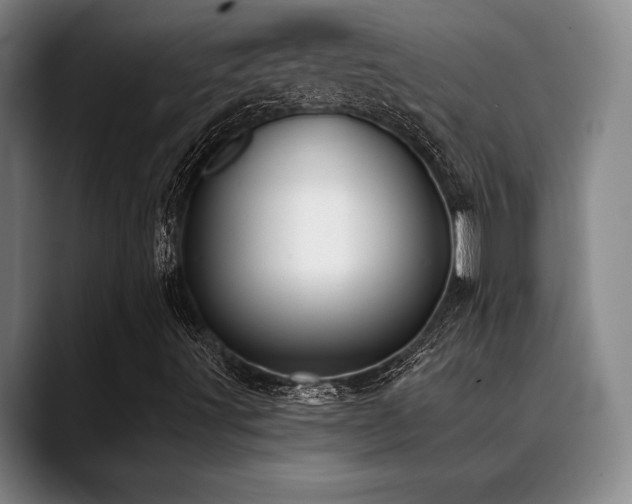 X0000089341491200706151033