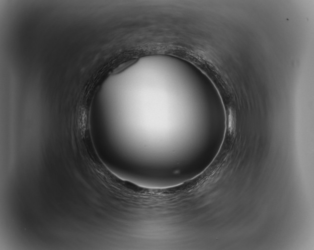 X0000089341492200706151033