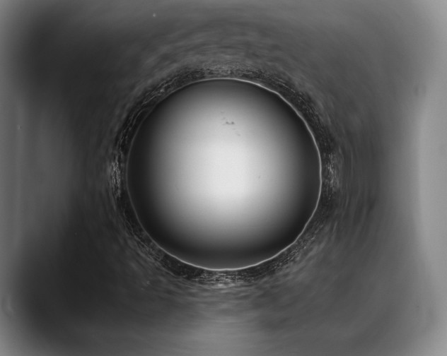 X0000089341493200706151033