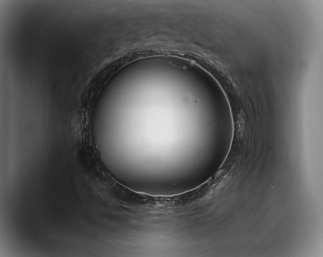 X0000089341494200706151033