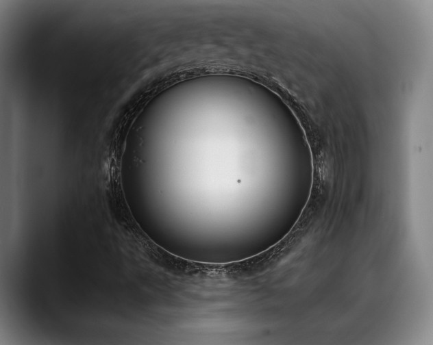 X0000089341495200706151033