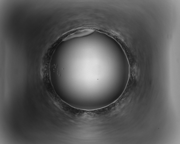 X0000089341496200706151033