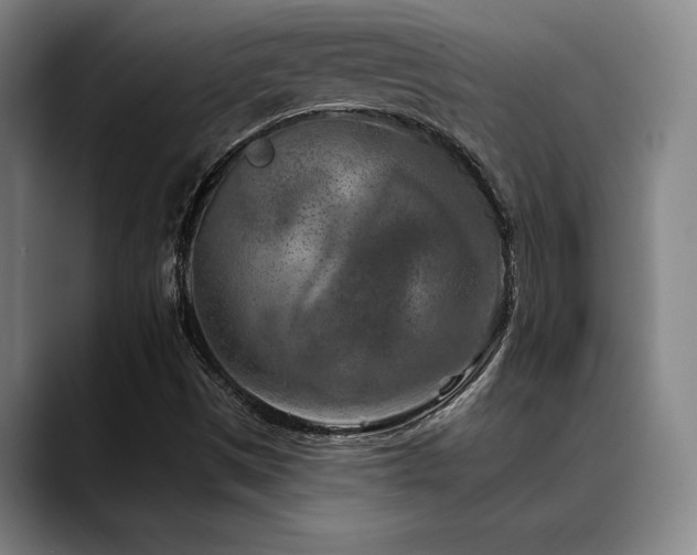 X0000089341497200706151034