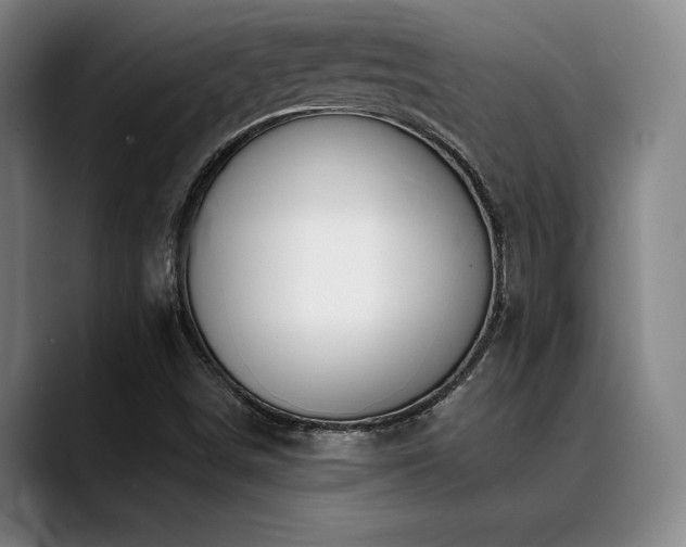 X0000089341498200706151034