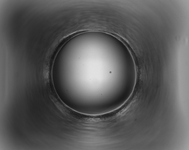 X0000089341499200706151034