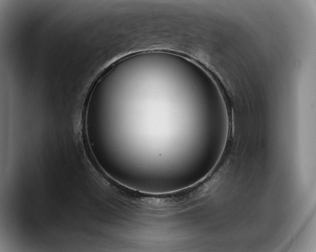 X0000089341500200706151034