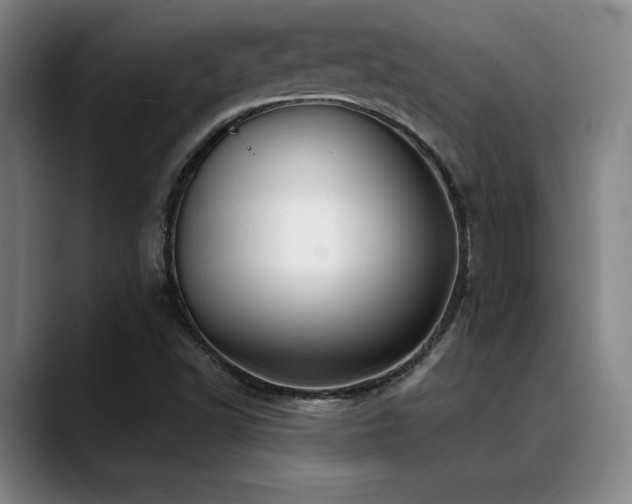X0000089341502200706151034