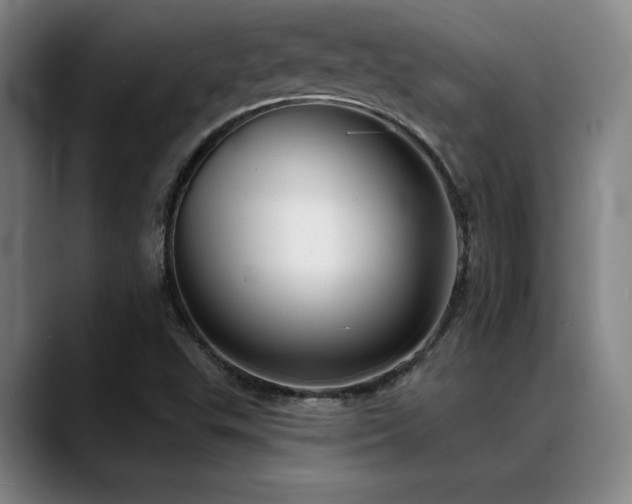 X0000089341503200706151034