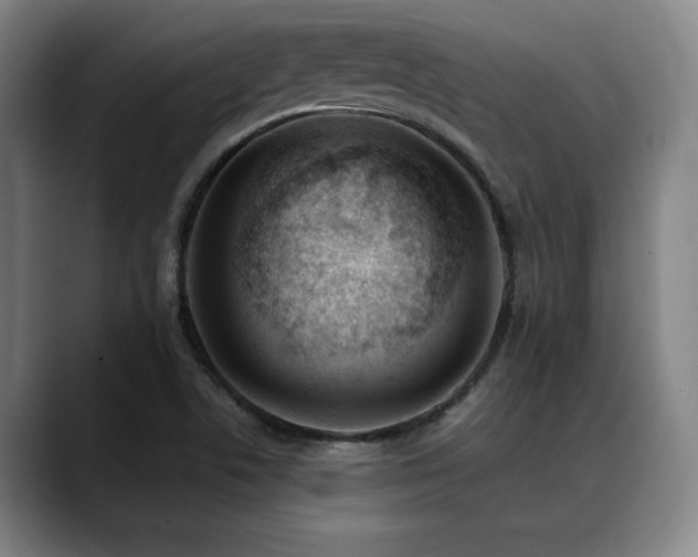 X0000089341506200706151034
