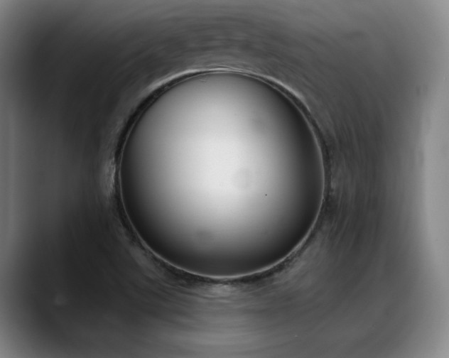 X0000089341507200706151034