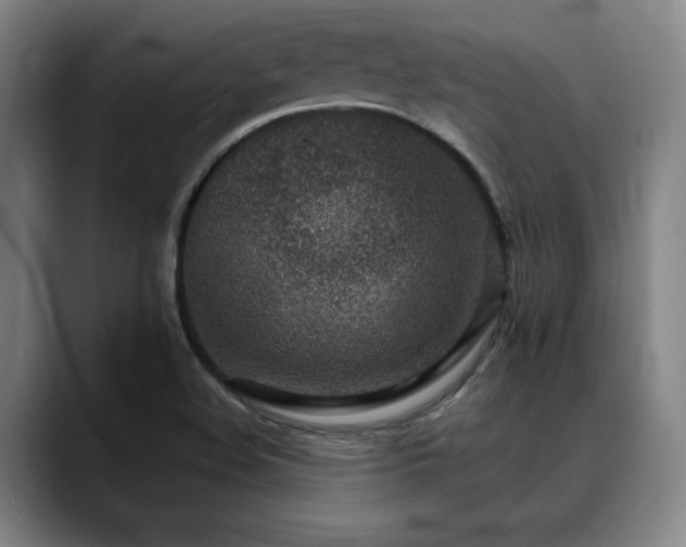 X0000089341508200706151034