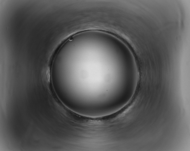 X0000089341509200706151034