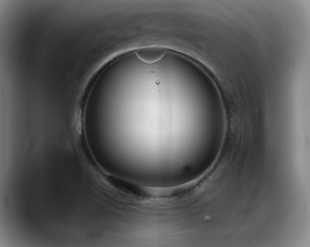 X0000089341510200706151034
