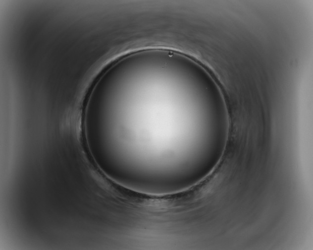 X0000089341511200706151034