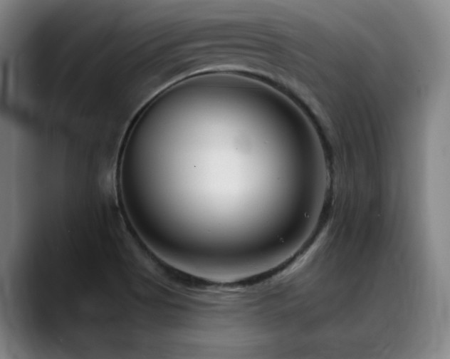 X0000089341513200706151034