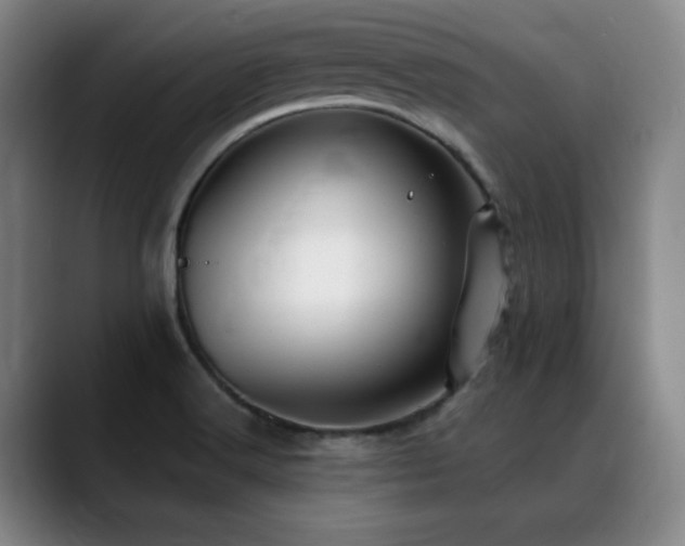 X0000089341516200706151034