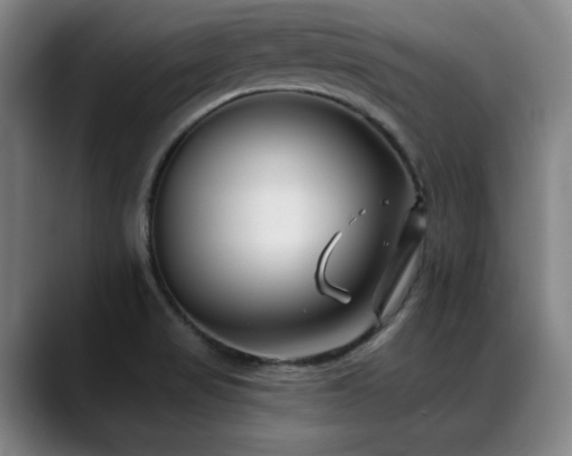 X0000089341517200706151034